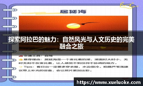 乐盈VI官网